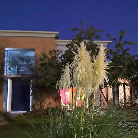 Bambou&olivier D'hôtes *