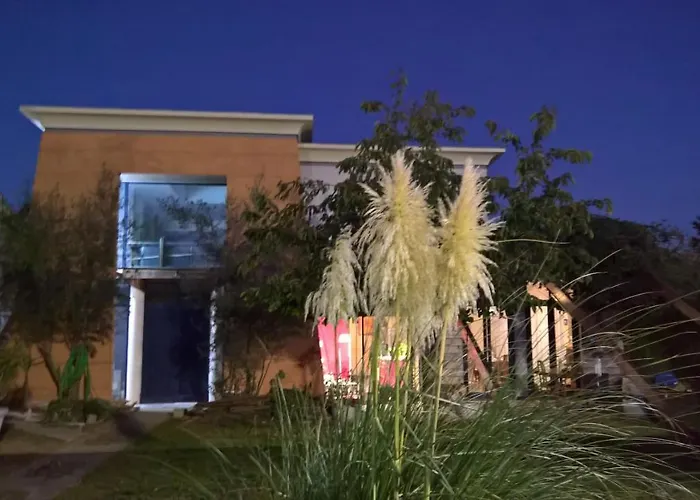 Bambou&olivier D'hôtes *