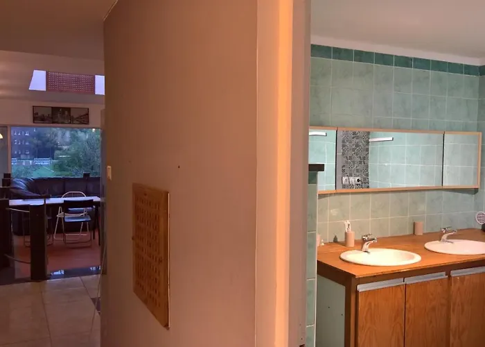 Bambou&olivier D'hôtes Roubaix