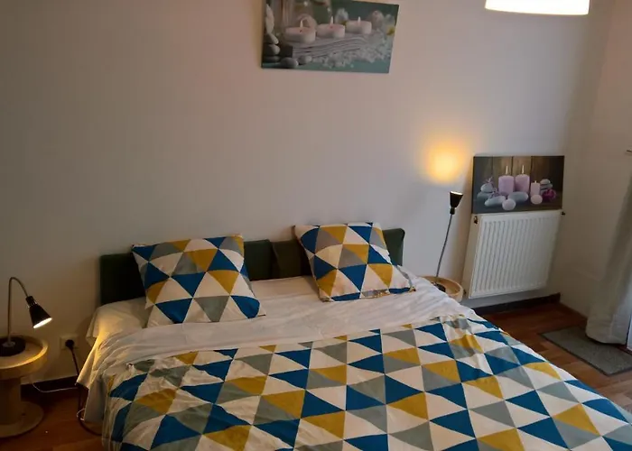 Bambou&olivier D'hôtes Roubaix