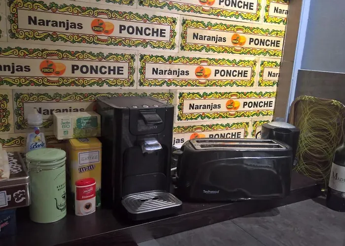 Bambou&olivier D'hôtes * Roubaix