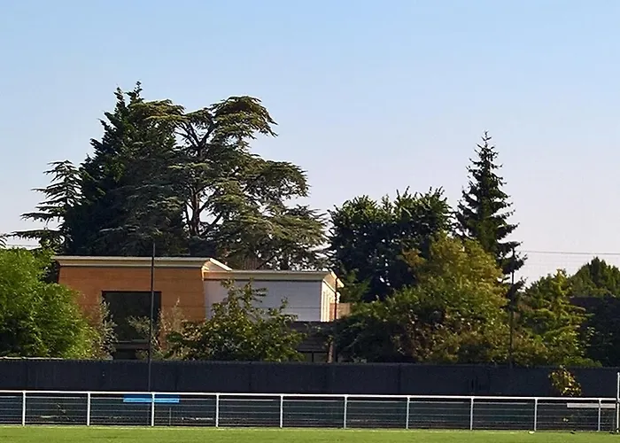 Bambou&olivier D'hôtes Roubaix