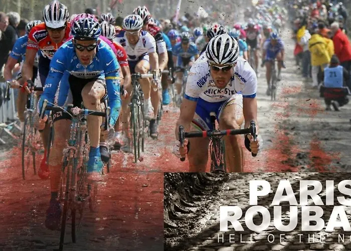 Bambou&olivier D'hôtes Roubaix