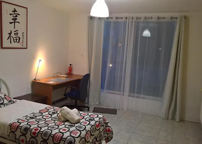 Bambou&olivier D'hôtes * Roubaix