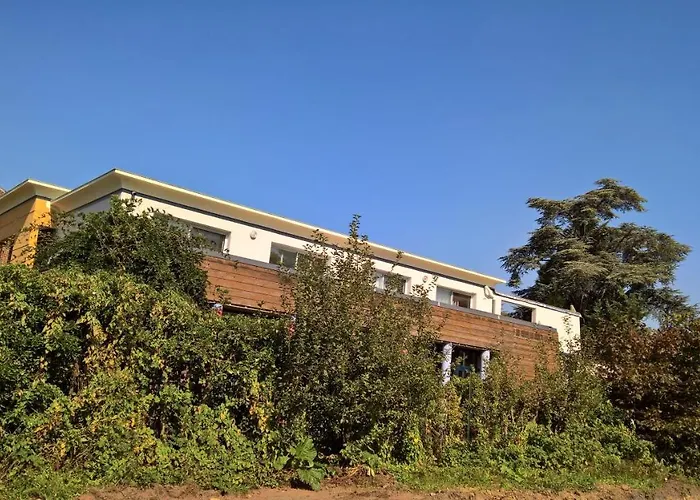 Couette-café Bambou&olivier D'hôtes